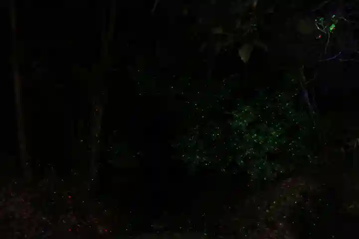 日枝神社の体験その他