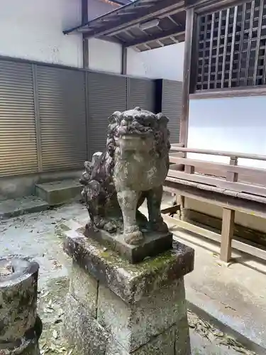 白髭神社の狛犬