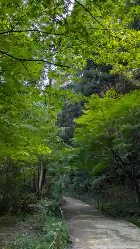 浄瑠璃寺(京都府)
