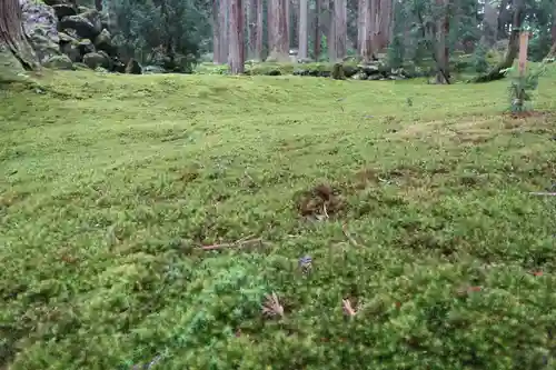 平泉寺白山神社(福井県)
