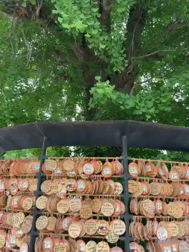 今戸神社(東京都)