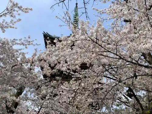 上野東照宮の自然