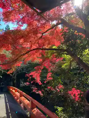 西明寺(京都府)
