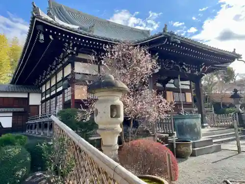 妙蓮寺の{uncategorized: "未分類", other: "その他", undefined: "問題あり", building: "その他建物", grave: "お墓", sacred_gate: "鳥居", guardian: "狛犬", statue: "像", buddha: "仏像", history: "歴史", nature: "自然", garden: "庭園", animal: "動物", pagoda: "塔", temizu: "手水舎", mountain_gate: "山門・神門", sanctuary: "本殿・本堂", subordinate: "末社・摂社", art: "芸術", scenery: "景色", jizo: "地蔵", ema: "絵馬", goshuin: "御朱印", omikuji: "おみくじ", items: "授与品その他", amulet: "お守り", goshuincho: "御朱印帳", eats: "食事", festival: "お祭り", votive_dance: "神楽", shichigosan: "七五三参", wedding: "結婚式", experience: "体験その他", initially: "初詣", around: "周辺", anti_infection: "感染症対策"}