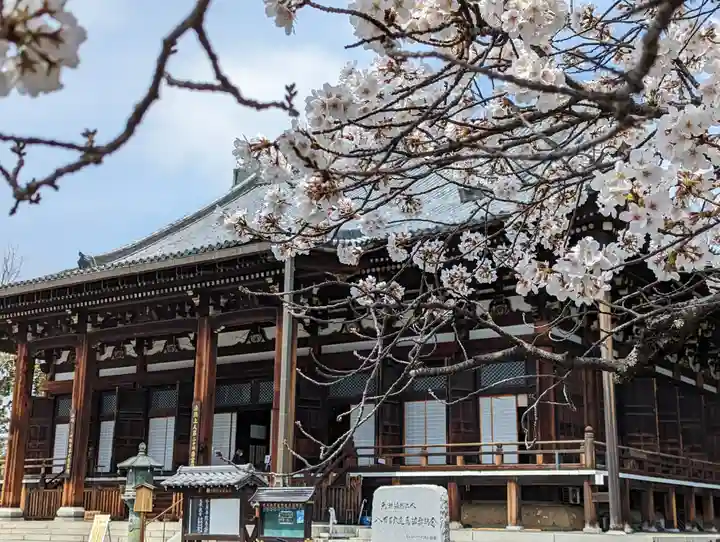 くろ谷 金戒光明寺(京都府)