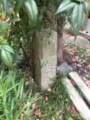 泥江縣神社の建物その他