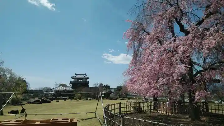 呉服神社の自然