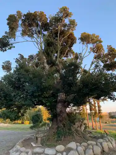 長楽寺のその他建物
