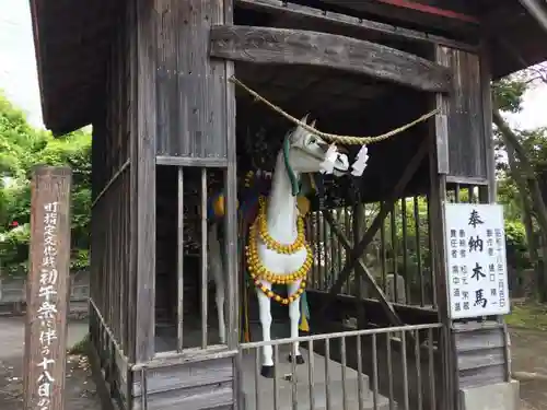 鹿児島神宮の狛犬