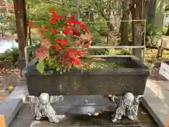 西新井大師総持寺の手水