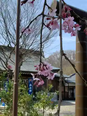 大山祇神社(茨城県)