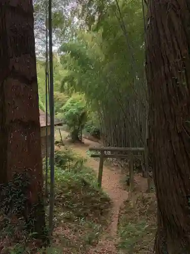 天崎神社の鳥居