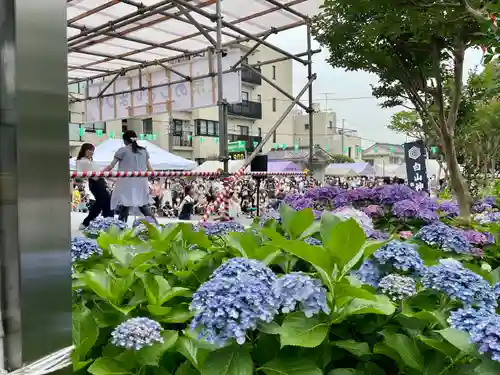 白山神社の庭園