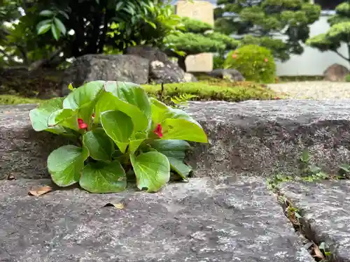 西方山極楽寺(岐阜県)