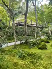 祇王寺(京都府)