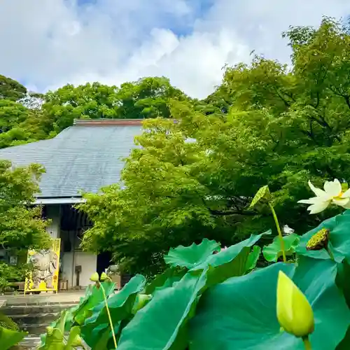 伊勢の国 四天王寺(三重県)