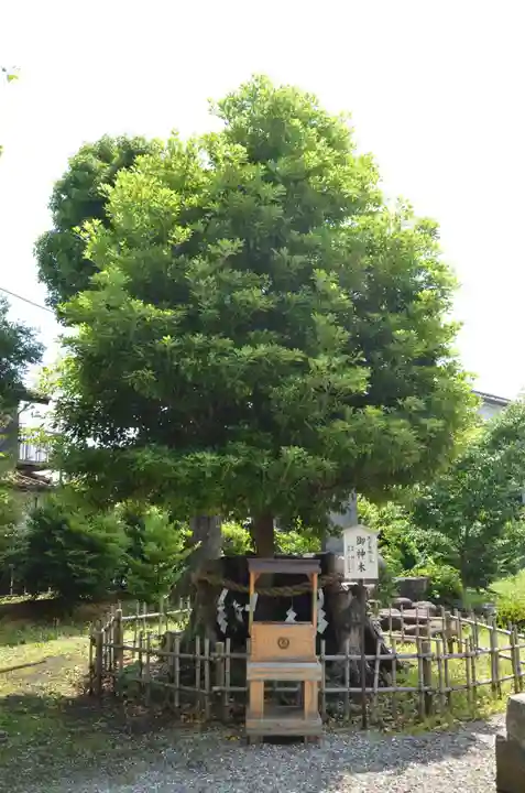 日々神社(神奈川県)
