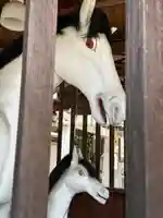中道八阪神社(大阪府)