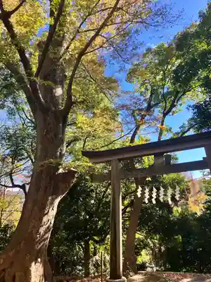 日吉神社(東京都)