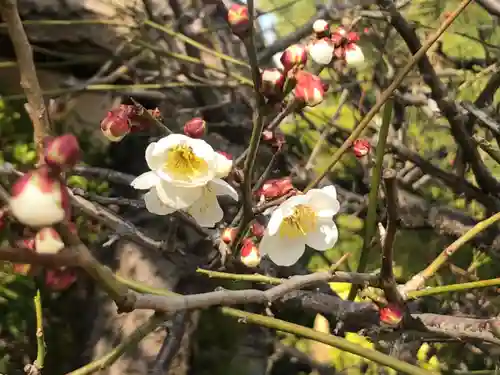 荒井神社の自然