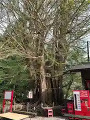 山寺日枝神社(山形県)