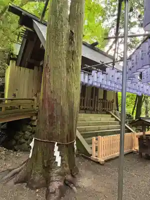 多度大社(三重県)