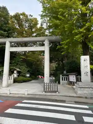 阿佐ヶ谷神明宮の鳥居