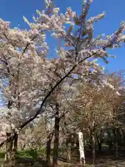 北海道神宮の庭園