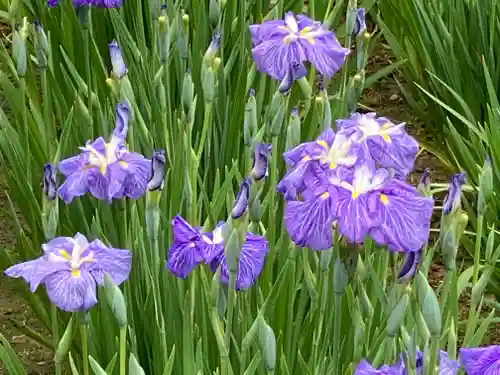 堀切天祖神社祖霊社(東京都)