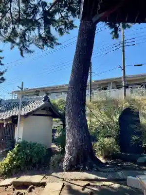 東伏見氷川神社(東京都)