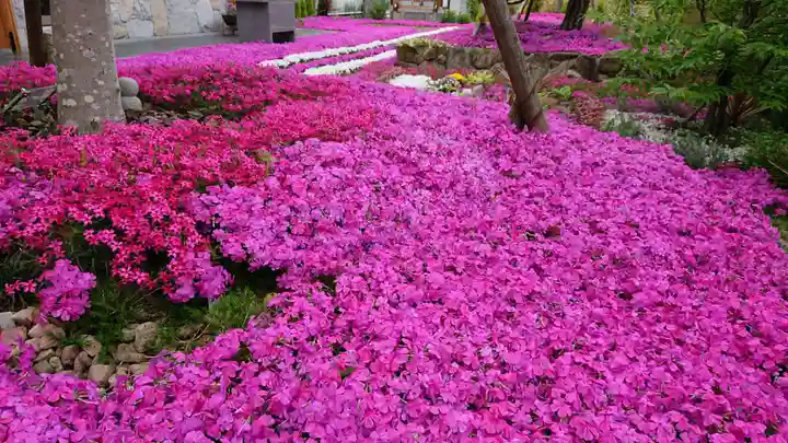 寿量山 速成寺の自然