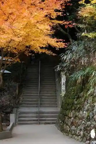 鞍馬寺の自然