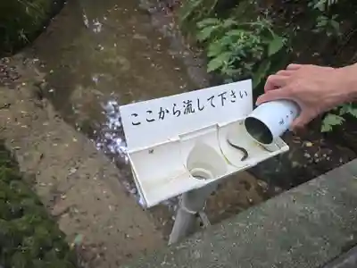 瀧谷不動尊 明王寺(大阪府)