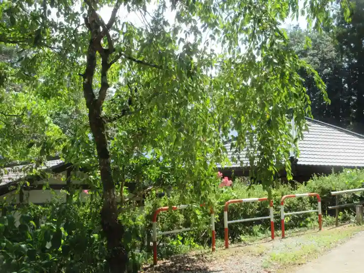 法泉寺(埼玉県)