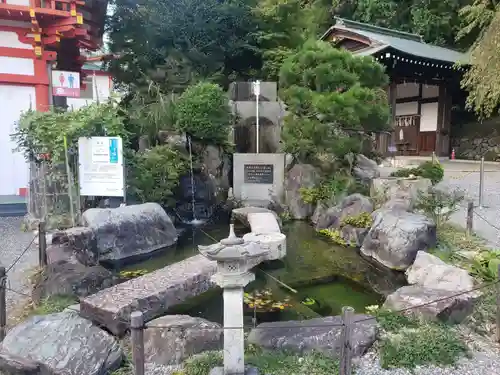 近江神宮の庭園