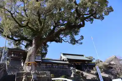 鎮西大社諏訪神社(長崎県)