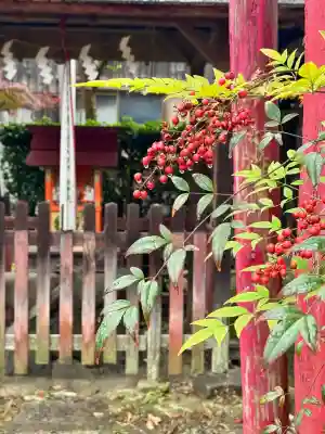 下嵯峨稲荷神社(京都府)