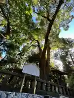 久能山東照宮の{uncategorized: "未分類", other: "その他", undefined: "問題あり", building: "その他建物", grave: "お墓", sacred_gate: "鳥居", guardian: "狛犬", statue: "像", buddha: "仏像", history: "歴史", nature: "自然", garden: "庭園", animal: "動物", pagoda: "塔", temizu: "手水舎", mountain_gate: "山門・神門", sanctuary: "本殿・本堂", subordinate: "末社・摂社", art: "芸術", scenery: "景色", jizo: "地蔵", ema: "絵馬", goshuin: "御朱印", omikuji: "おみくじ", items: "授与品その他", amulet: "お守り", goshuincho: "御朱印帳", eats: "食事", festival: "お祭り", votive_dance: "神楽", shichigosan: "七五三参", wedding: "結婚式", experience: "体験その他", initially: "初詣", around: "周辺", anti_infection: "感染症対策"}