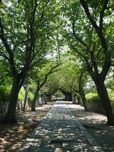 時宗総本山 遊行寺（正式：清浄光寺）(神奈川県)