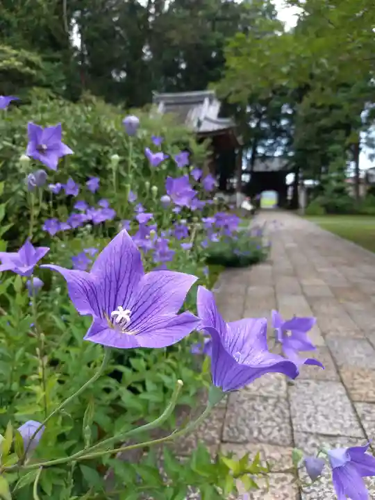 國分寺(高知県)