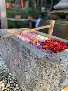 横浜御嶽神社(神奈川県) 2021年11月23日(火)〜(2021年11月22日(月) 19時05分08秒投稿)