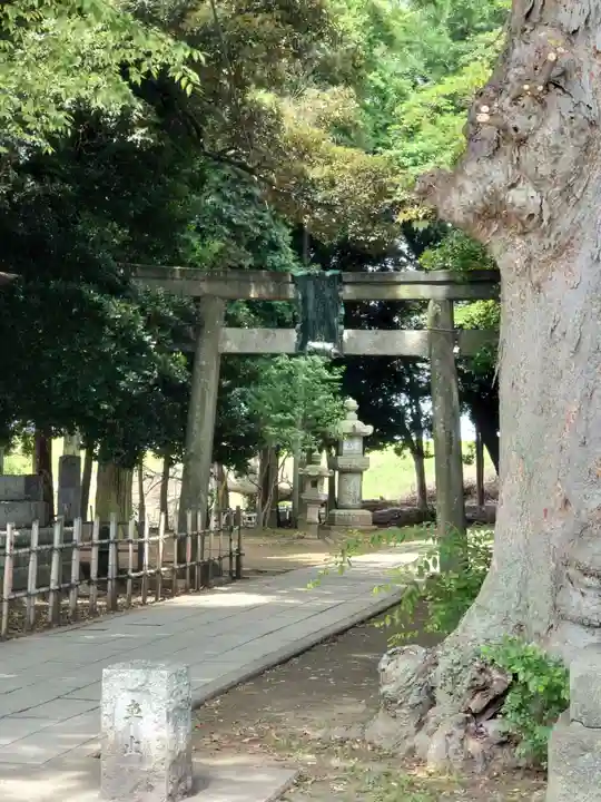 雀神社(茨城県)