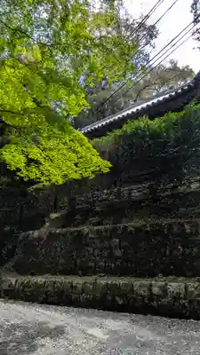 園城寺（三井寺）(滋賀県)