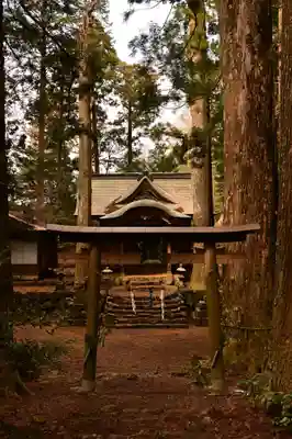 杉原神社(高知県)
