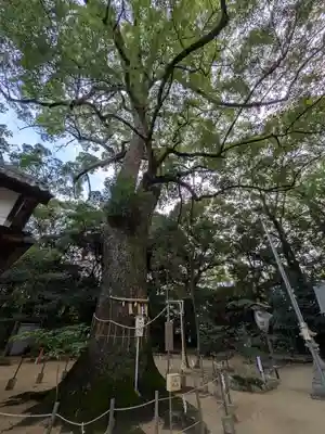 生瀬皇太神社(兵庫県)