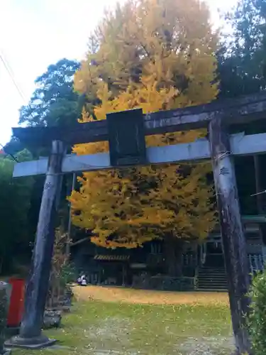 丹生神社の鳥居