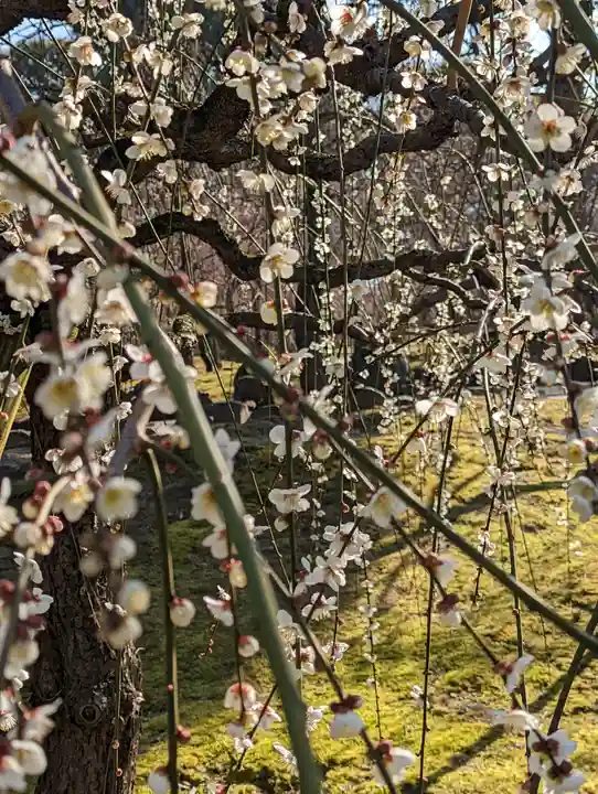 城南宮(京都府)