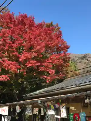 大山阿夫利神社のその他建物