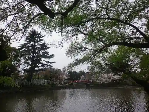 鶴岡八幡宮の庭園