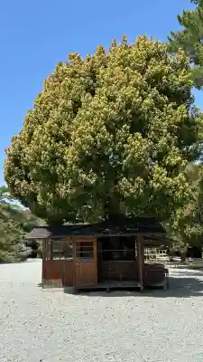 橿原神宮(奈良県)